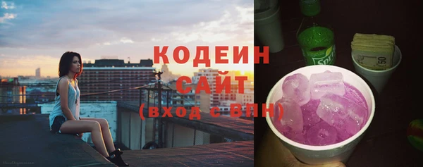 индика Новозыбков