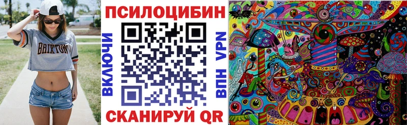 Псилоцибиновые грибы Cubensis  Ардатов 